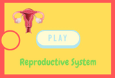 Reproductive System Game Quiz Online